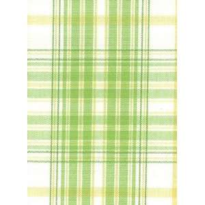  TAFFETA PLAID CITRUS TAF 104 Arts, Crafts & Sewing