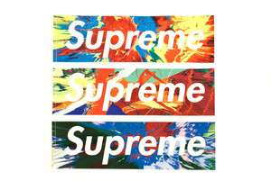Supreme damien Hirst box logo stickers tee sweater T sb  