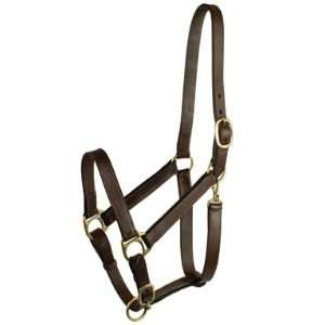   Choice Brands Stable Halter With Snap Suckling   203S/1