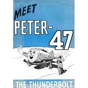   Republic P 47 Aircraft Meet Peter 47 Manual Sicuro Publishing Books