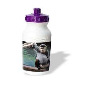  Monkey   Douc Langur Monkey   Water Bottles Sports 