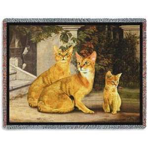  Abysinian Cat Tapestry Throw