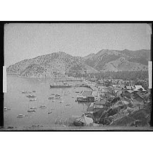  Harbor,Avalon,Catalina Island,Calif.