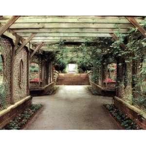 opulent garden IV Poster by C.j. Stanz (11.00 x 14.00)  