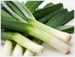 LEEK CARENTAN   GIANT (Allium ampeloprasum) X 200 Seeds  