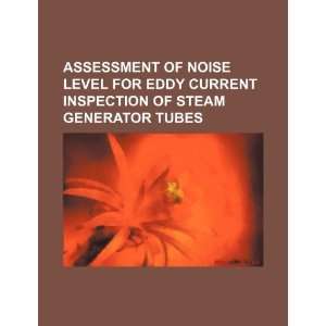  Assessment of noise level for eddy current inspection of 