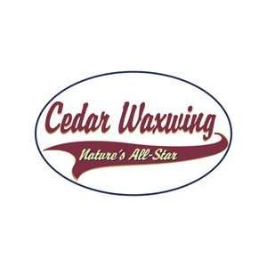  Cedar Waxwing Shirts