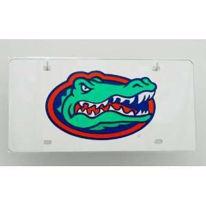  Florida Gators Head License Plate on Chrome Automotive