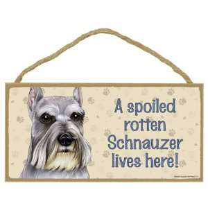 Schnauzer   A spoiled your favoriate dog breed lives here   Door 