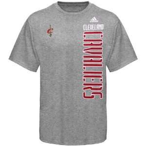   Cleveland Cavaliers Ash Soundwave T shirt (Large)
