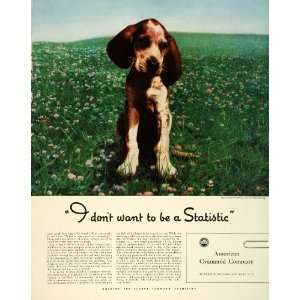   Distemper Dog Vaccination Beagle   Original Print Ad