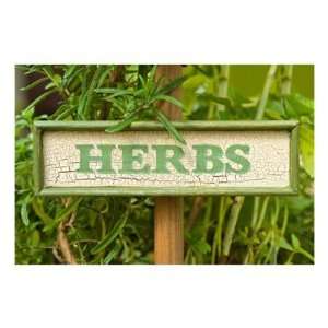    Herb Garden Candle / Soap Fragrance Oil 1oz 