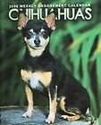 Chihuahuas Weekly 2006 Calendar (2005) Brand New HC