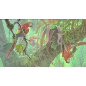   Bateman   Tropical Canopy Scarlet Macaws Canvas Giclee