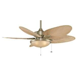  Fanimation Fans FP7500AB Windpointe Indoor Ceiling Fans in 