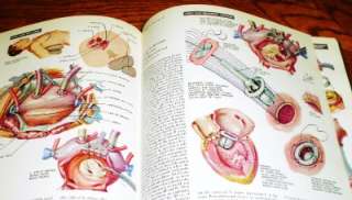 1974 THE CIBA COLLECTION OF MEDICAL ILLUSTRATIONS VOL. 5 HEART FRANK H 