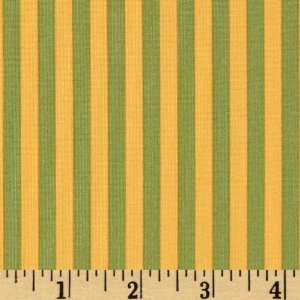  44 Wide Michael Miller Clown Stripe Starfruit Fabric By 