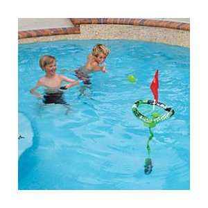   Skip N Sink Disk Toss Swimming Pool Game   Improvements Toys & Games