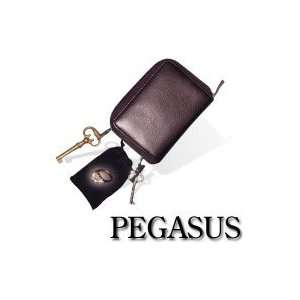  Pegasus Toys & Games