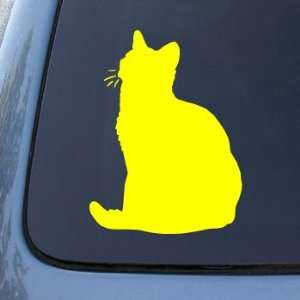 AMERICAN SHORTHAIR   Cat   Vinyl Decal Sticker #1486  Vinyl Color 