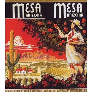  MESA VALLEY OF THE SUN ARIZONA WELCOMES VACATION TRAVEL TOURISM 