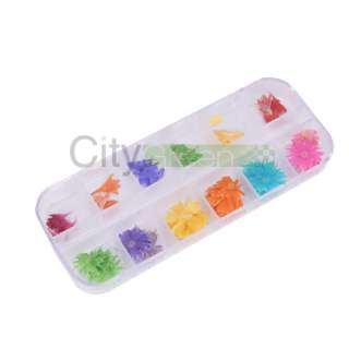 12 PCS Real Dry Dried Flower Case Nail Art Tips Design #14  