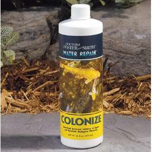  Water Repair Colonize 64 oz