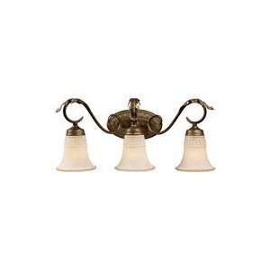  Trump Home by ELK 2472/3 Briarcliff 3 Light Bathroom Light 