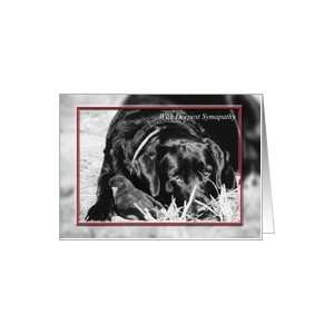  Dog   Sympathy Black and White Card Health & Personal 