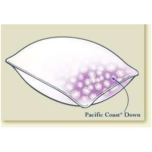    Pacific Coast¨ Luxury White Goose Down Pillow   Standard Baby