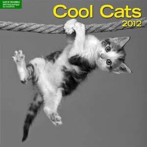  Cool Cats Wall Calendar 2012