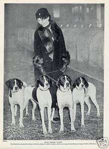 POINTER Charming Original Dog Print 1934 Lady And Dogs  
