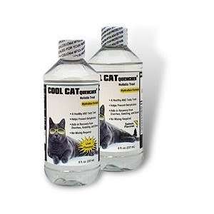  Cat Supplement   Recovery Formula for Cats   Chicken 