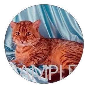   pcs   ROUND   Designer Coasters Cat/Cats   (CRCT 012)