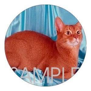   pcs   ROUND   Designer Coasters Cat/Cats   (CRCT 010)