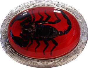 BIG King Scorpion in RED resin Belt Buckle  