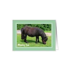 Missing You   Grazing Pony, Green Frame Card