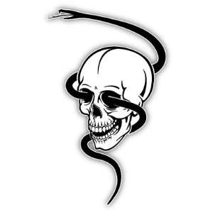  Skull and snake scary car bumper sticker decal 3 X 5 