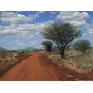  View of a Red Earth Road in Tsavo West Park National 