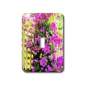  Florene Flowers   Dance Of The Bougainvilla   Light Switch 