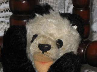 Steiff Antique Floppy Panda Mohair Bear 7317 Silver Button 1954   1961 