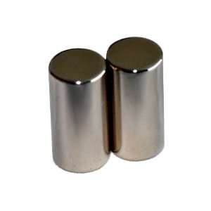   Disc , Package of 2 Rare Earth Neodymium Magnets