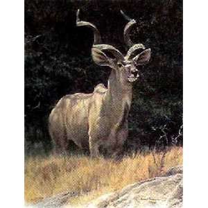  Robert Bateman   Kudu