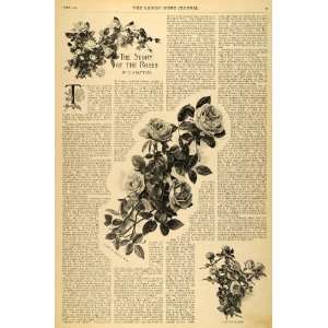  1893 Article Story of the Roses Flowers H. H. Battles 