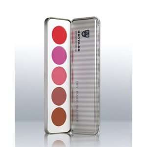  Kryolan 5 Colors Dry Rouge and Contour Palette 5196 (SHD 