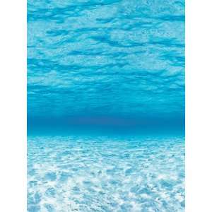   Quality value Fadeless 48X50 Roll Under The Sea By Pacon Toys & Games