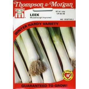  Thompson & Morgan 640 Leek Musselburgh Improved Seed 