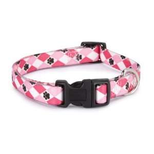  Casual Canine Nylon Pooch Pattern Dog Collar, 14 to 20 