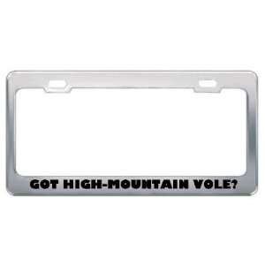 Got High Mountain Vole? Animals Pets Metal License Plate Frame Holder 