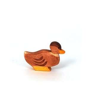  Duck Sitting (Ostheimer) Toys & Games